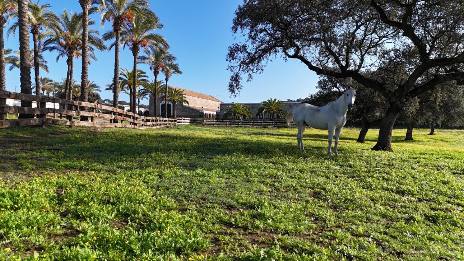 Alojamiento Rural Finca Barral El Garrobo Exteriér fotografie