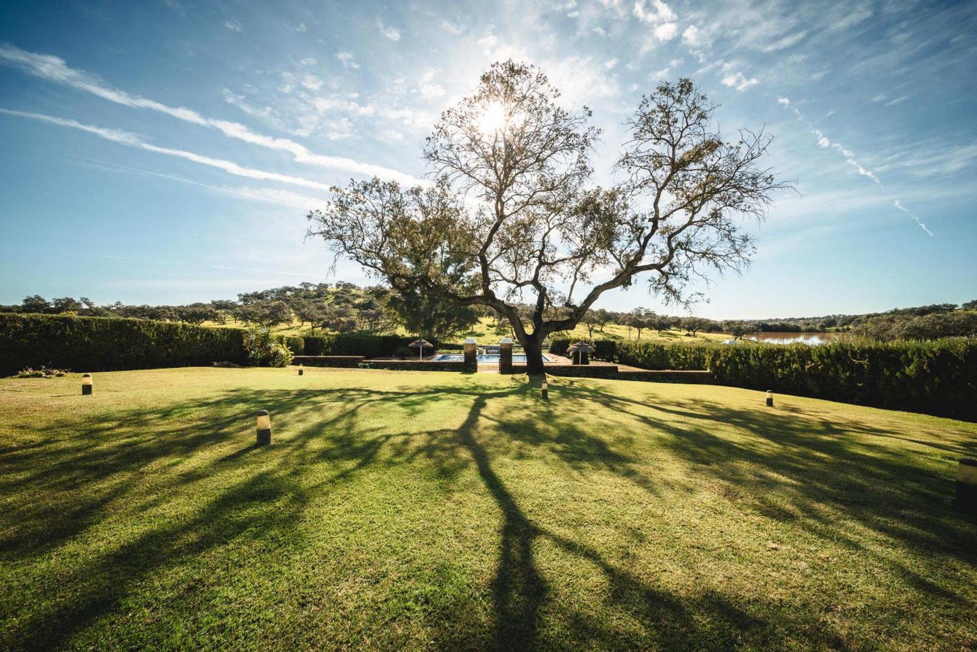 Alojamiento Rural Finca Barral El Garrobo Exteriér fotografie