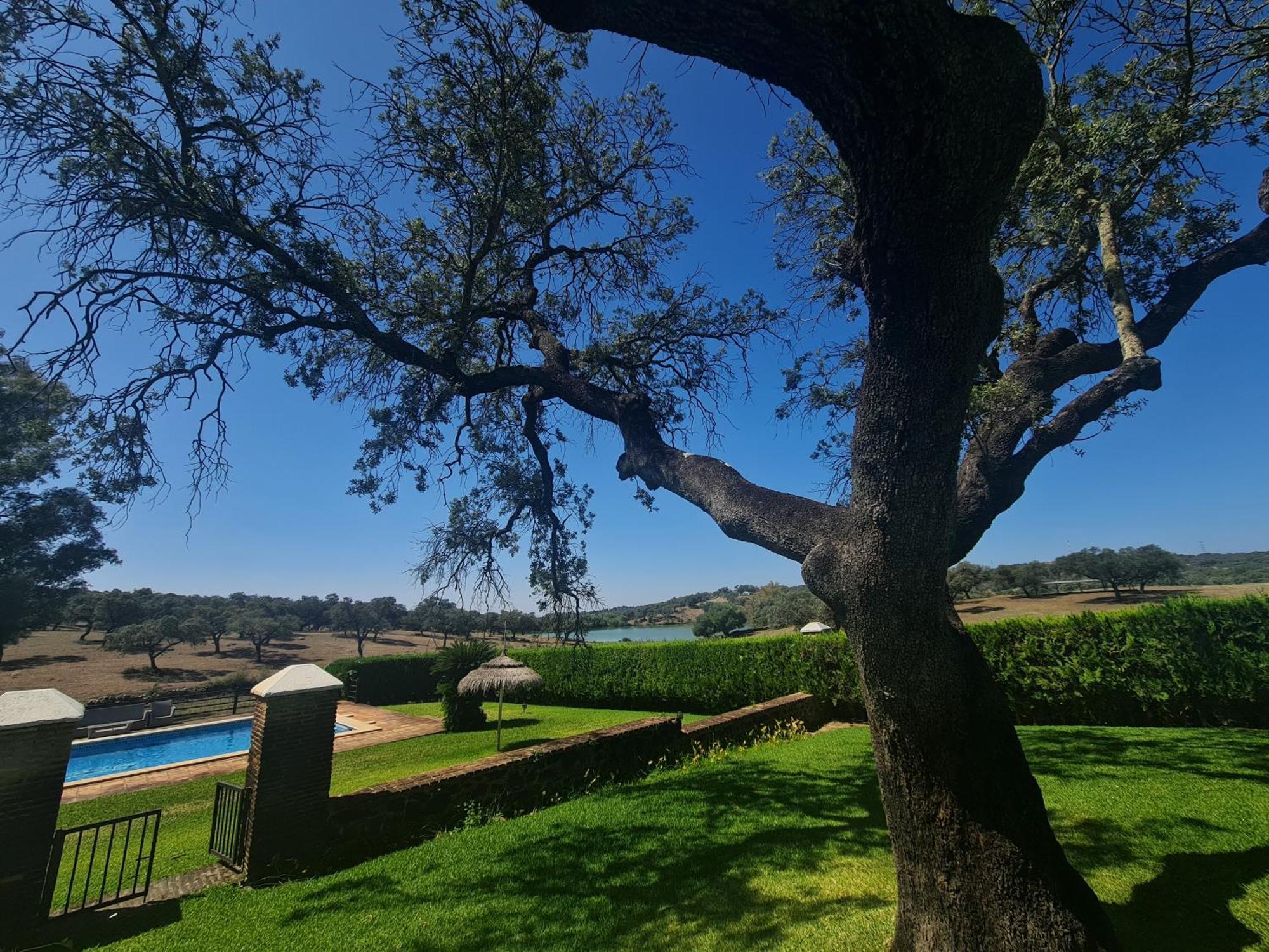Alojamiento Rural Finca Barral El Garrobo Exteriér fotografie