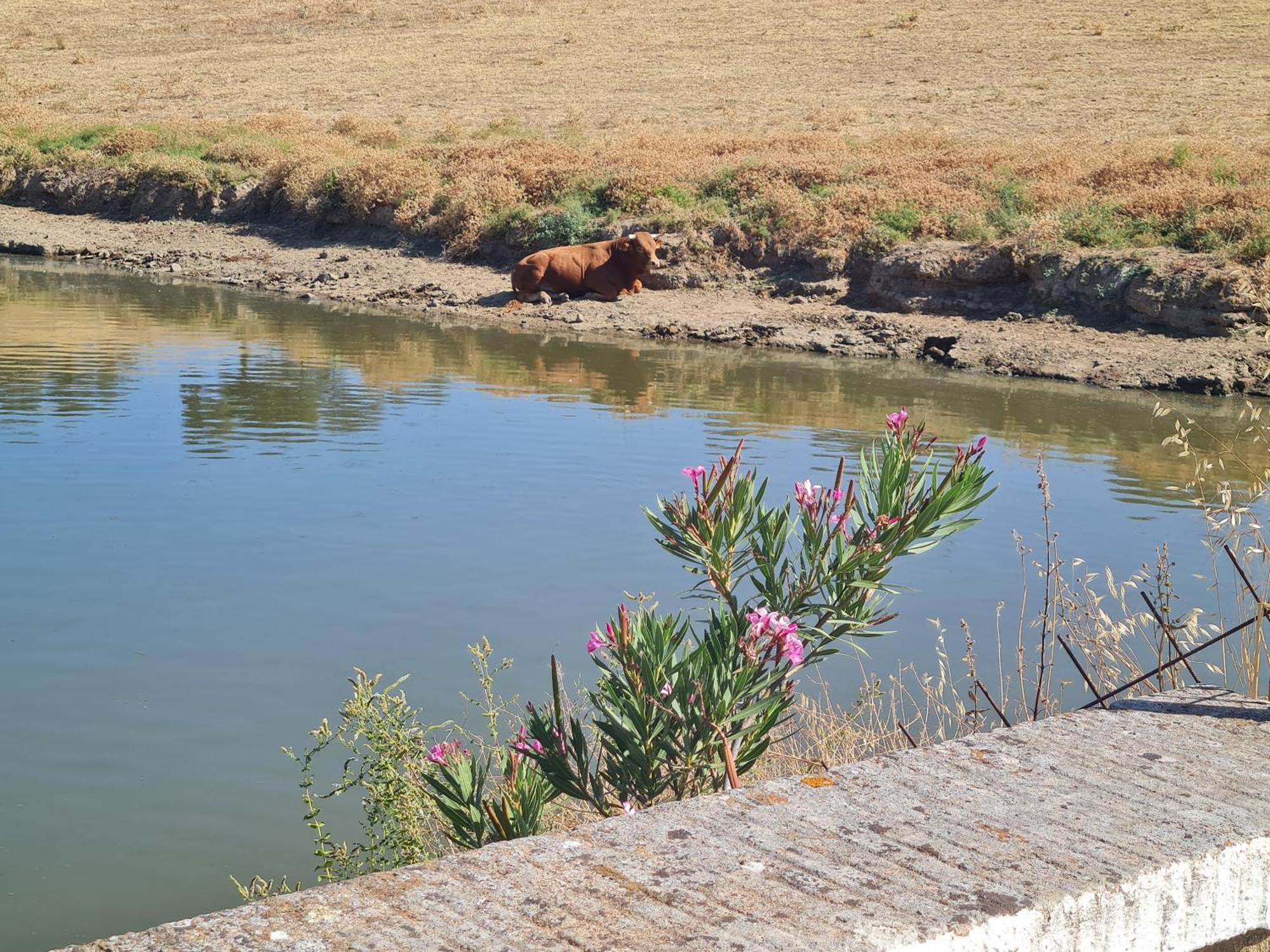 Alojamiento Rural Finca Barral El Garrobo Exteriér fotografie